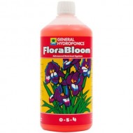 Flora Bloom (Ghe)