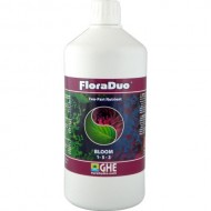 Flora Duo Bloom (Ghe)